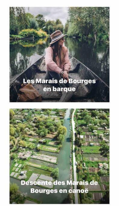 Studio La Reine Blanche - 4Pers - Rdc Daire Bourges Dış mekan fotoğraf